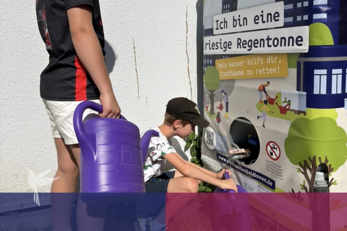 EBG-News