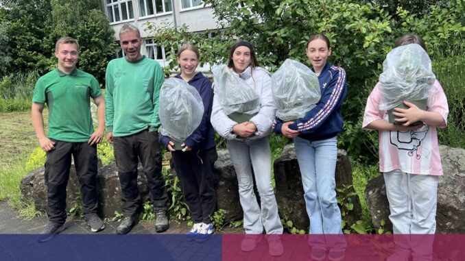 EBG-News
