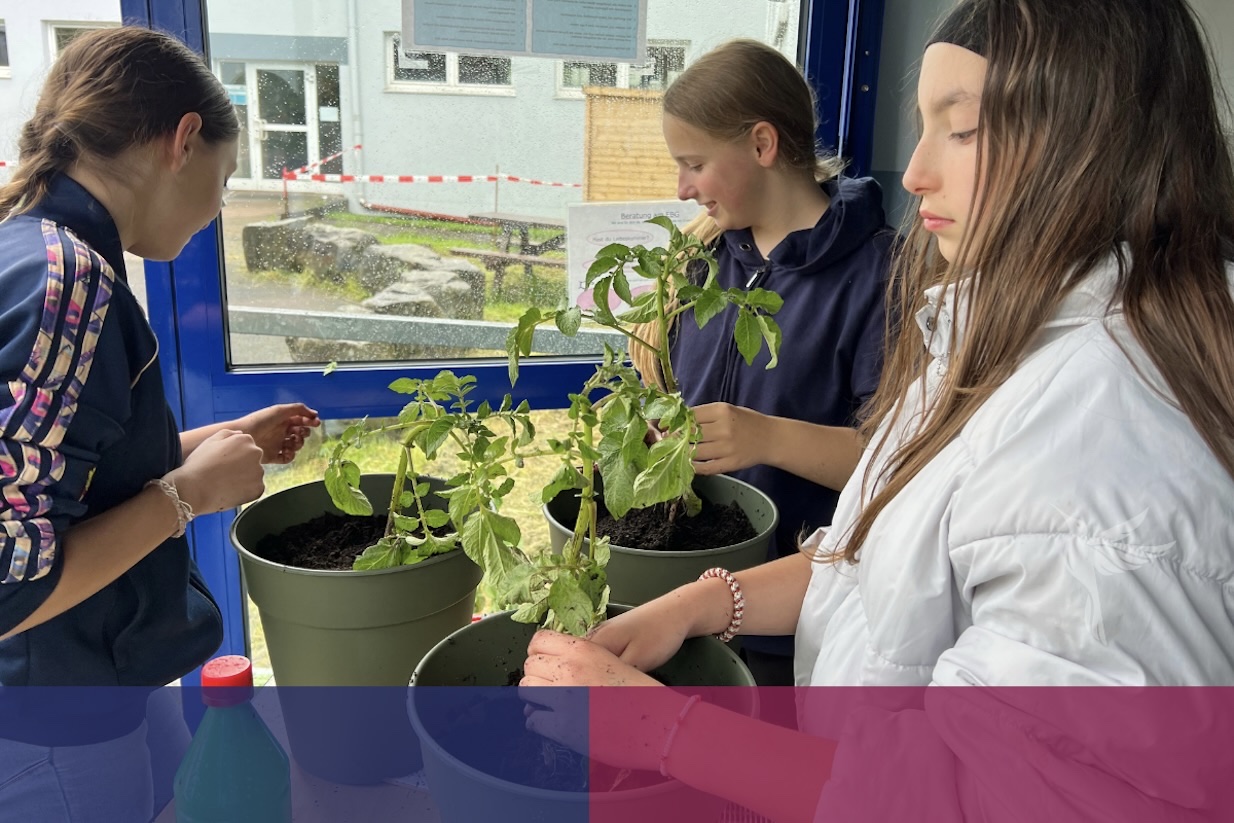 EBG-News